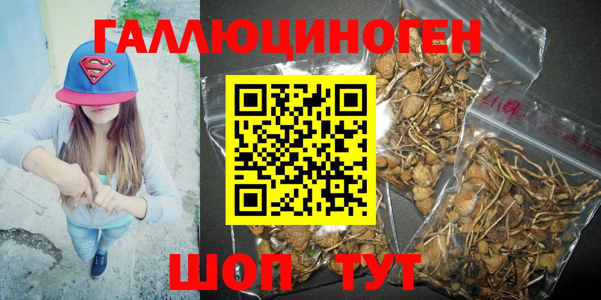 Галлюциногенные грибы GOLDEN TEACHER Геленджик